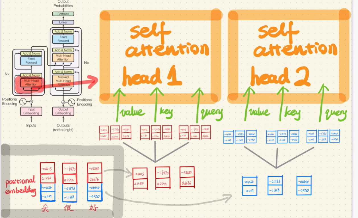 多头注意力-分割
